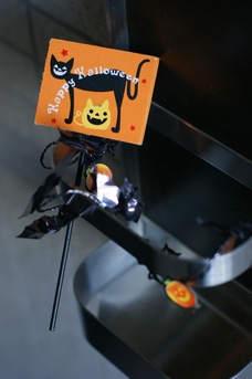 b0001324_20112915.jpg