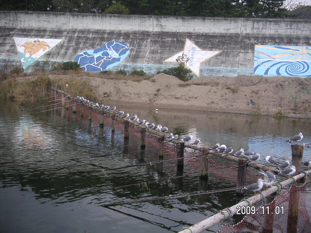 a0020929_1832671.jpg