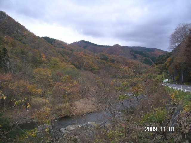 a0020929_1862562.jpg