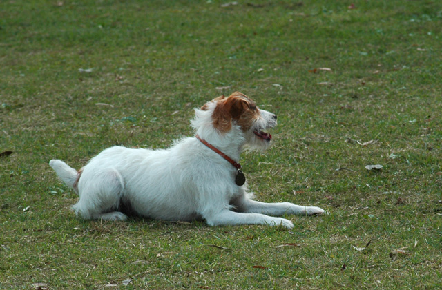 c0192930_8301658.jpg