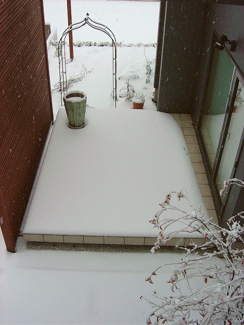 f0205733_9205567.jpg