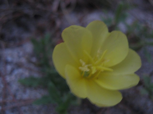 b0166435_16305520.jpg