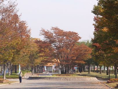 d0093936_2031392.jpg