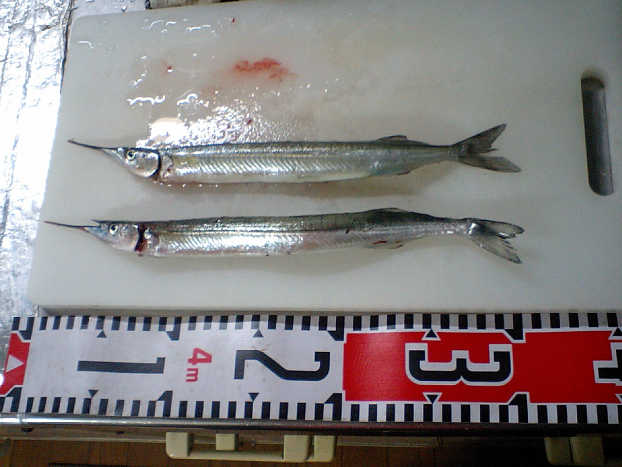 a0083638_20413068.jpg