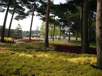 b0024439_6455544.jpg