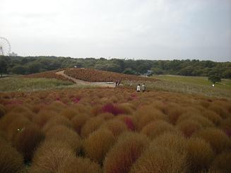 b0024439_648063.jpg