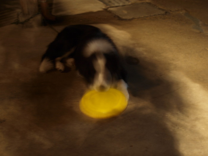 c0072843_2040592.jpg