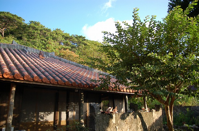 b0139744_2225150.jpg