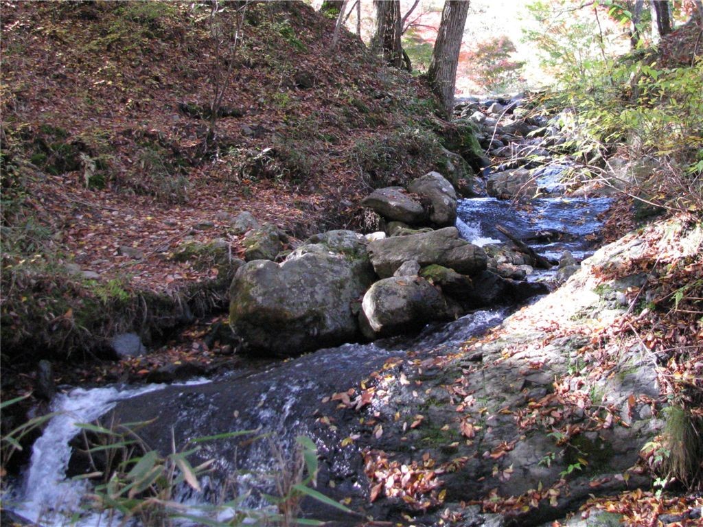f0151044_10514046.jpg