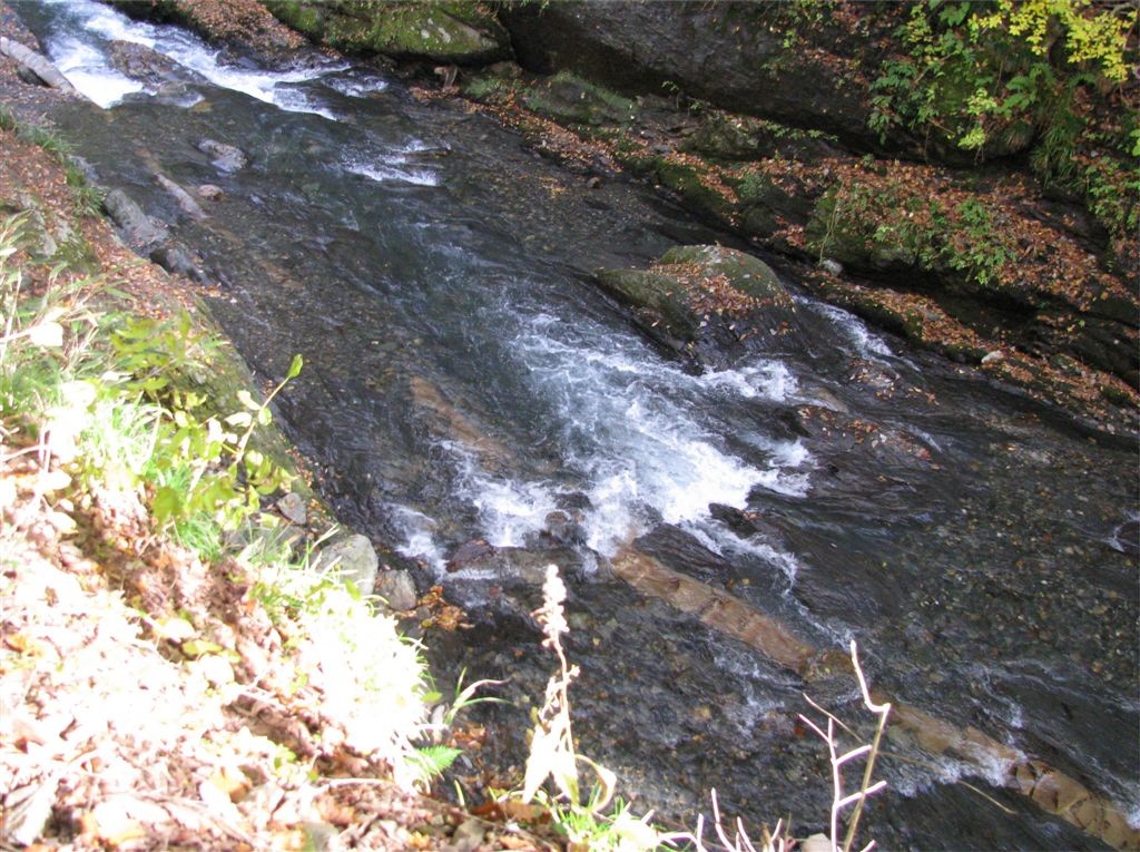 f0151044_11565022.jpg