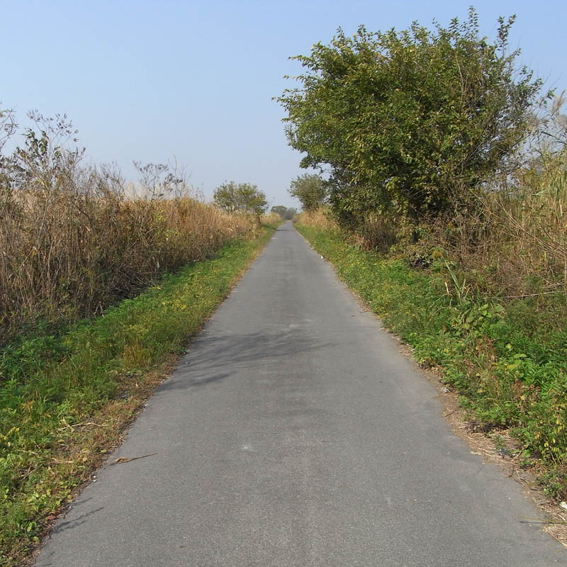 f0184244_93547.jpg