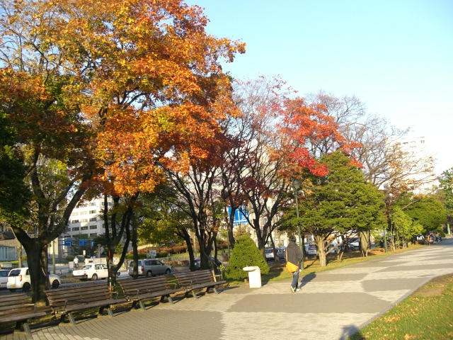 b0049549_1844143.jpg
