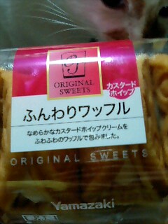 a0075051_0181738.jpg