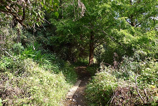 e0050753_12265052.jpg
