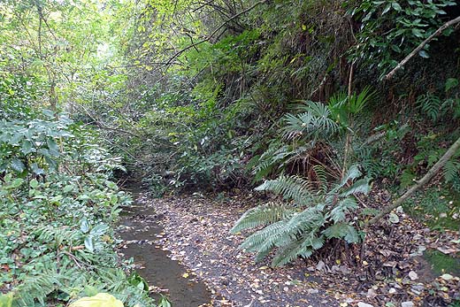 e0050753_12274256.jpg