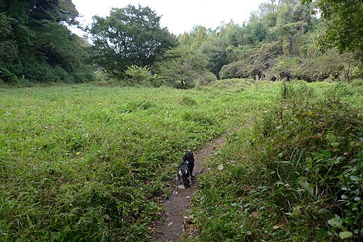e0050753_12274731.jpg
