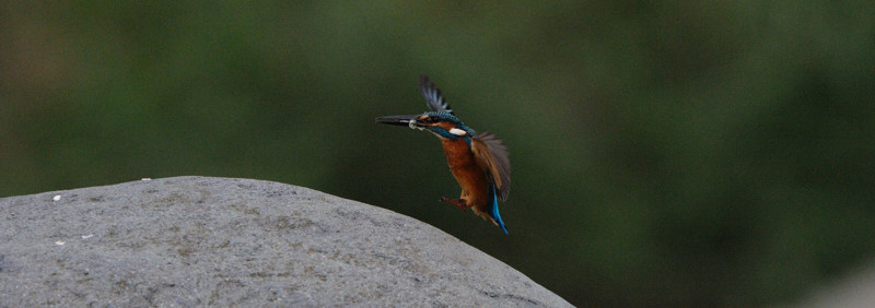 d0099854_21275749.jpg