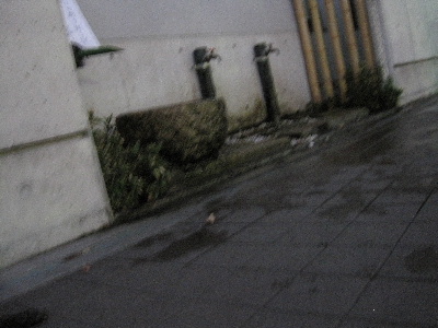 e0126054_23512142.jpg