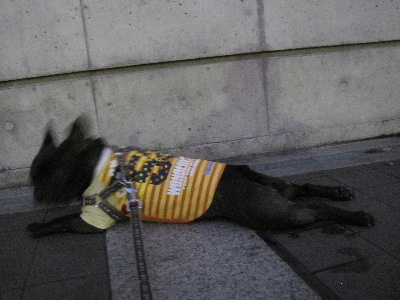 e0126054_23533391.jpg