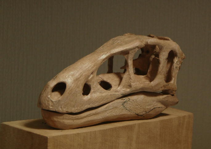 e0064457_013428.jpg