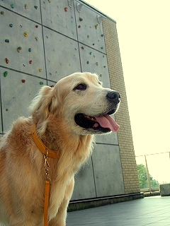 c0097558_1535276.jpg