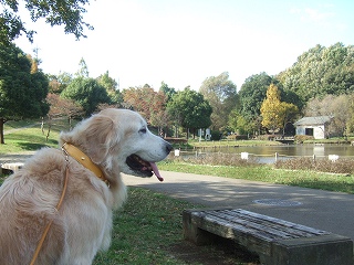 c0097558_15375759.jpg