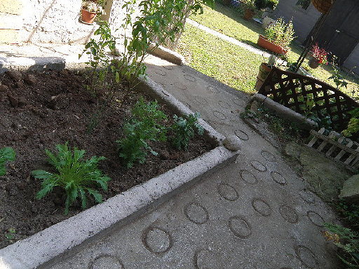 e0184558_8251375.jpg