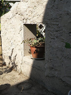 e0184558_8272452.jpg