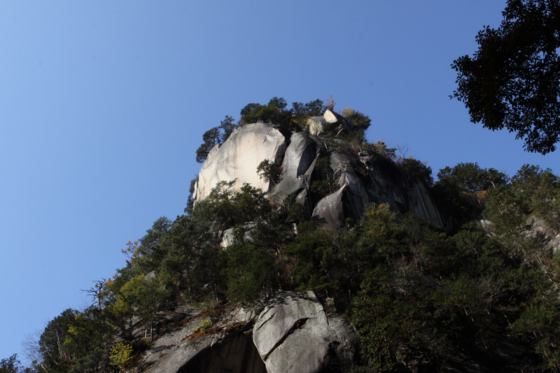 f0103860_15445442.jpg