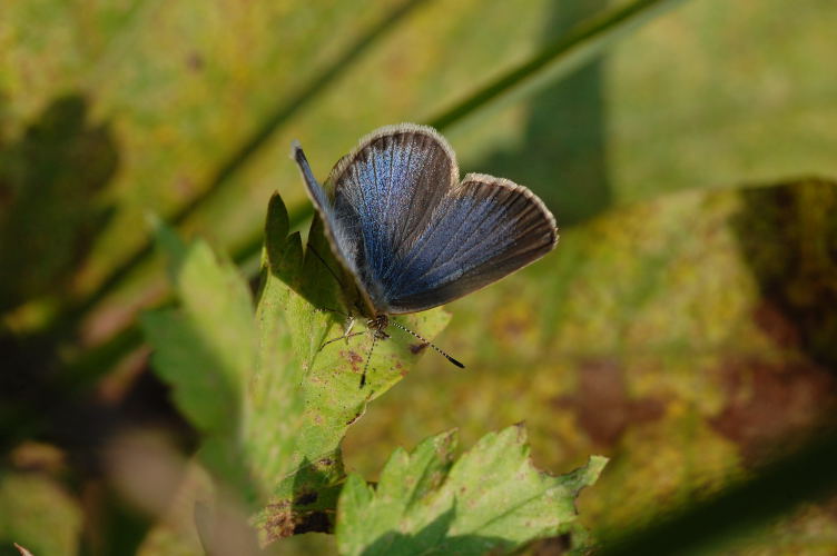 b0167762_14473637.jpg