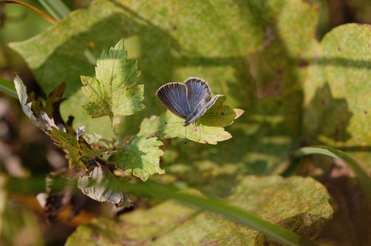 b0167762_1447942.jpg