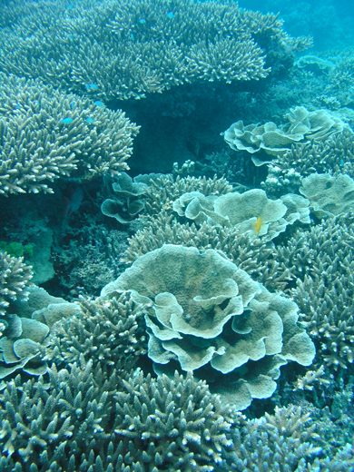 b0062363_17593975.jpg