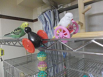 f0196665_0594730.jpg