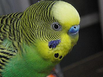 f0196665_23334058.jpg