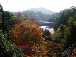 c0224470_1541356.jpg