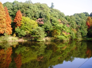 c0224470_15451637.jpg