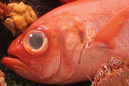 a0121671_23144885.jpg