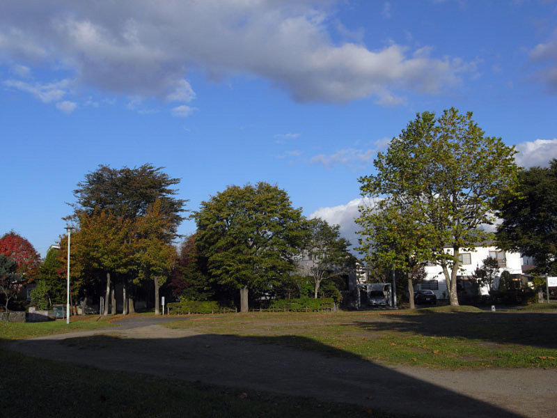 e0100772_2135567.jpg