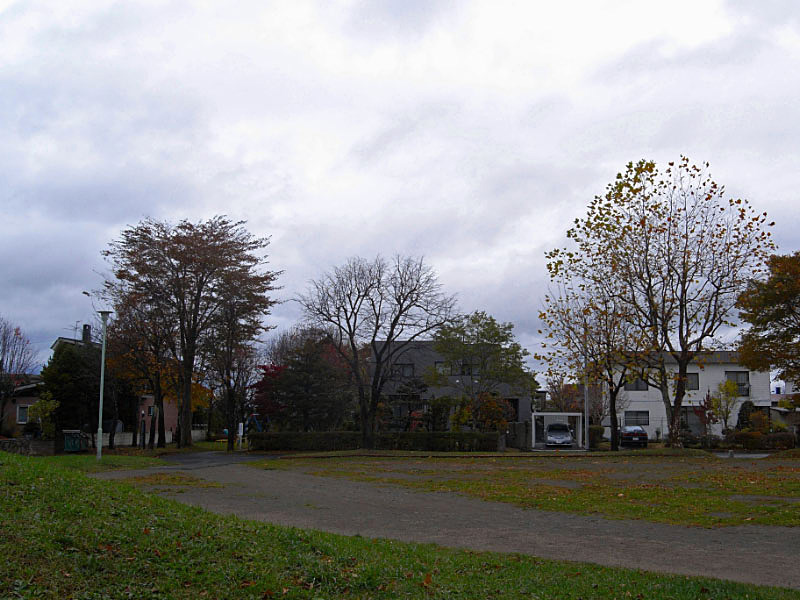 e0100772_2146764.jpg