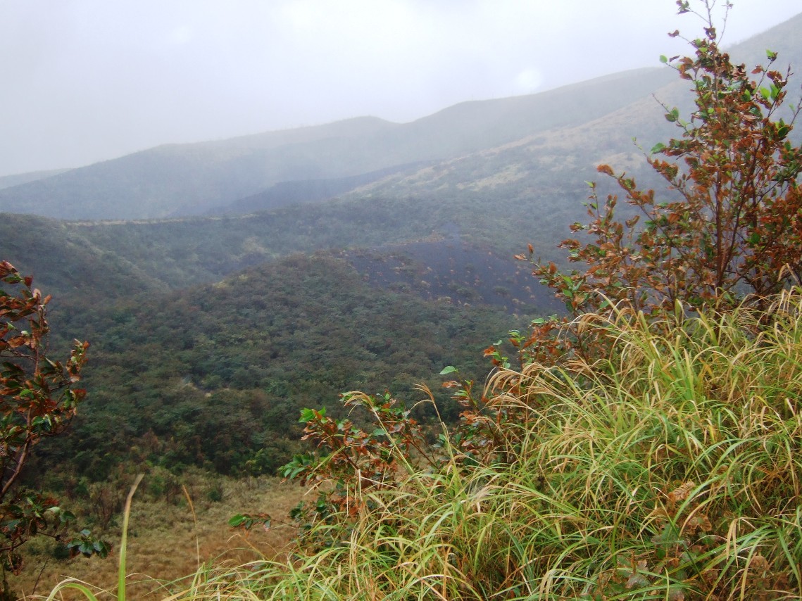 c0181073_1432210.jpg
