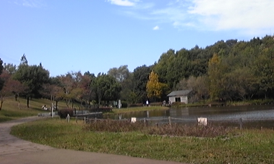 c0061774_20313658.jpg