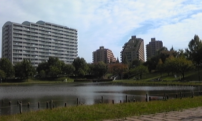 c0061774_203261.jpg