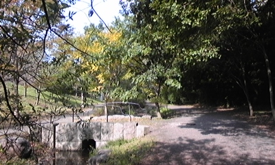 c0061774_20332475.jpg