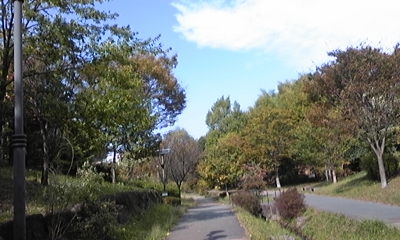 c0061774_20335242.jpg