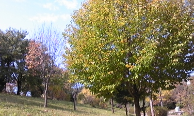 c0061774_20342344.jpg