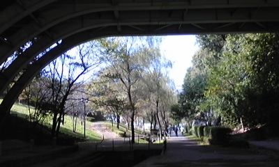 c0061774_20344529.jpg