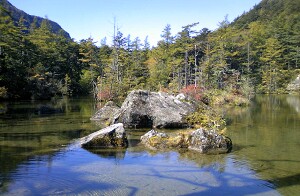 a0012575_1911995.jpg