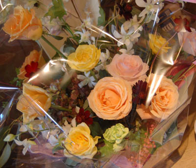 f0054977_236471.jpg