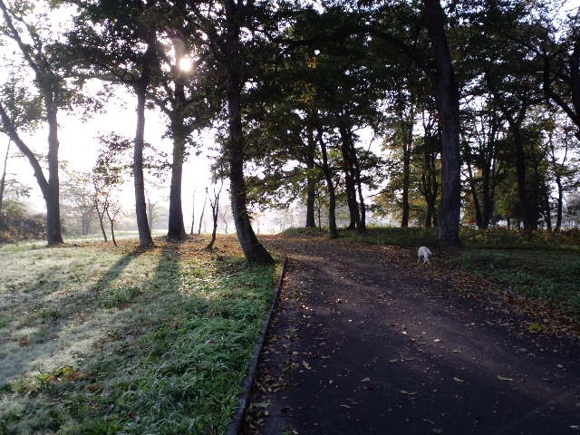 b0134278_21232728.jpg