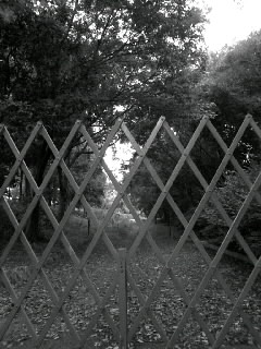 f0100480_1631030.jpg